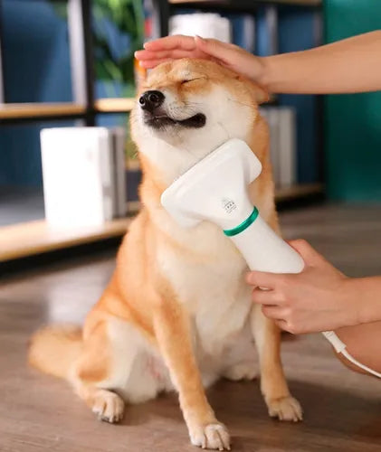 Peludito Spa - Cepillo Secador para Mascotas