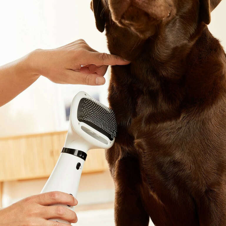 Peludito Spa - Cepillo Secador para Mascotas